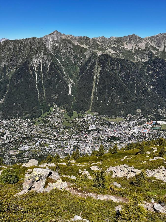 Le Nid De L'aiguille - Au Pied De L'aiguille Du Midi Apartment *