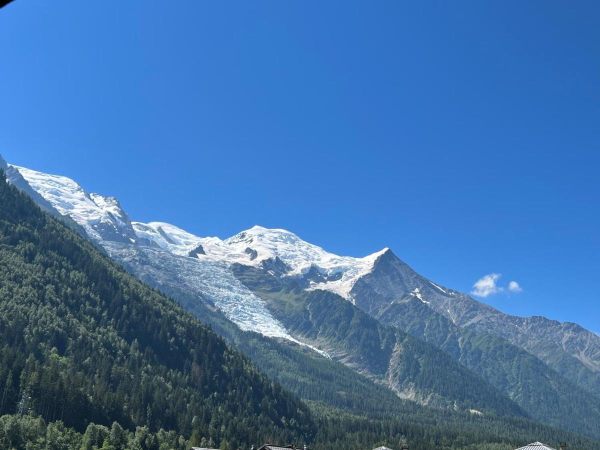 Appartement Mont Blanc 43, Vue Mont Blanc , Balcon, Parking Chamonix