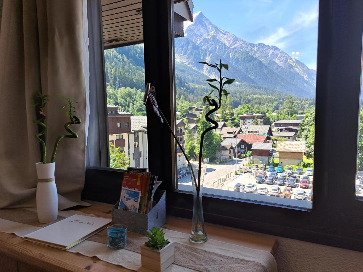 Vue Montblanc Magique En Centre-ville Avec Parking Apartment *