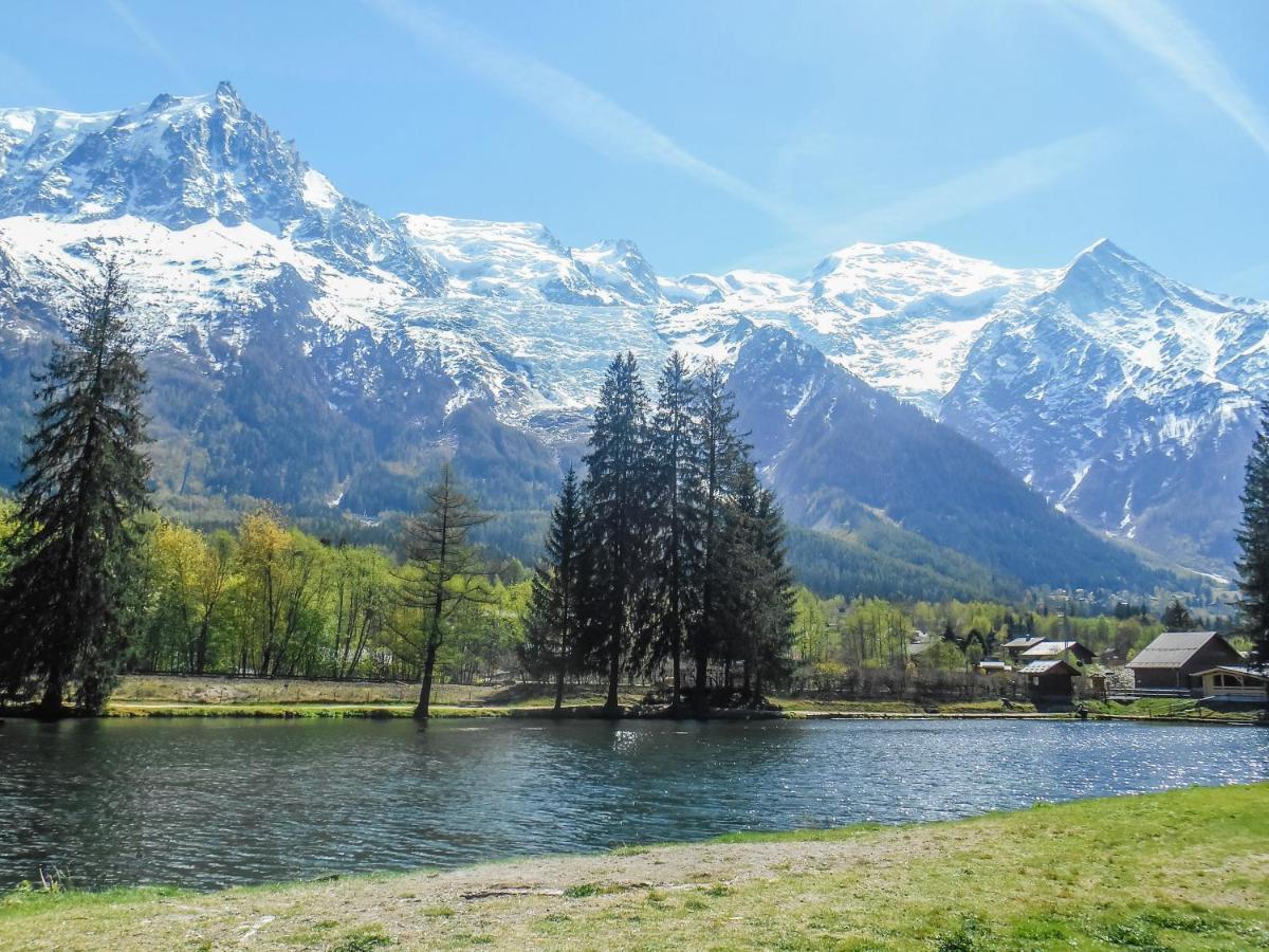 Vue Montblanc Magique En Centre-ville Avec Parking Apartment Chamonix