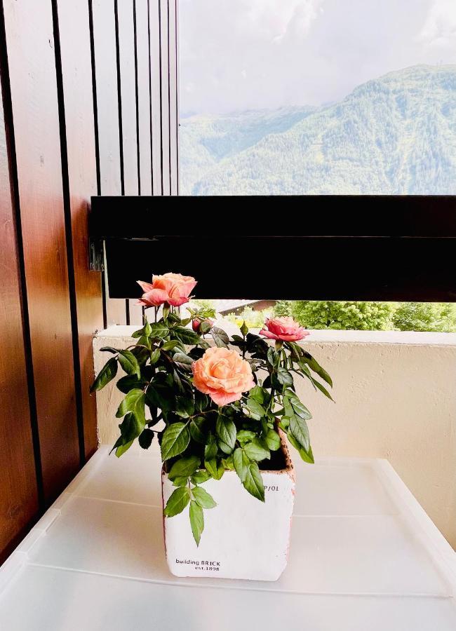 Breverly Hills Appartement