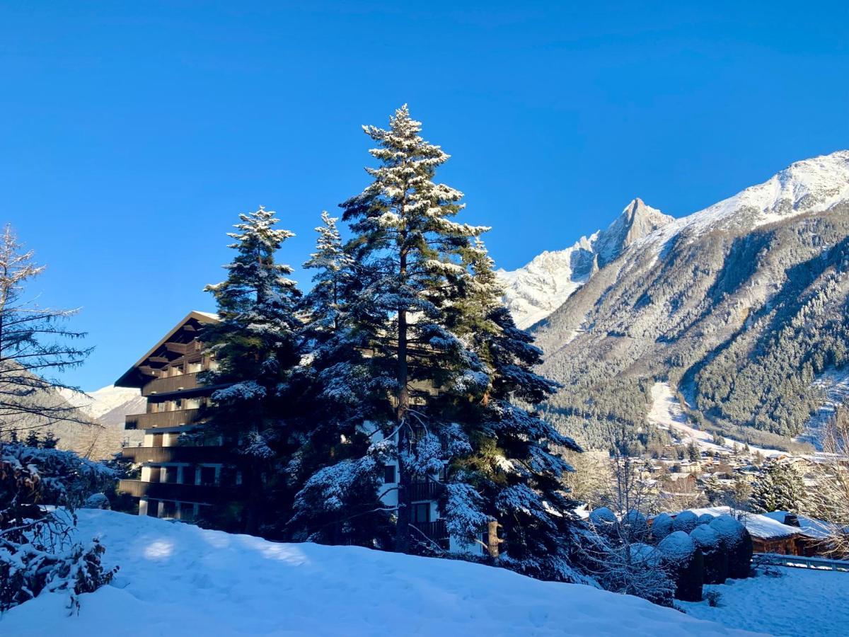 Apartment Confort Au Brevent-chamonix Chamonix