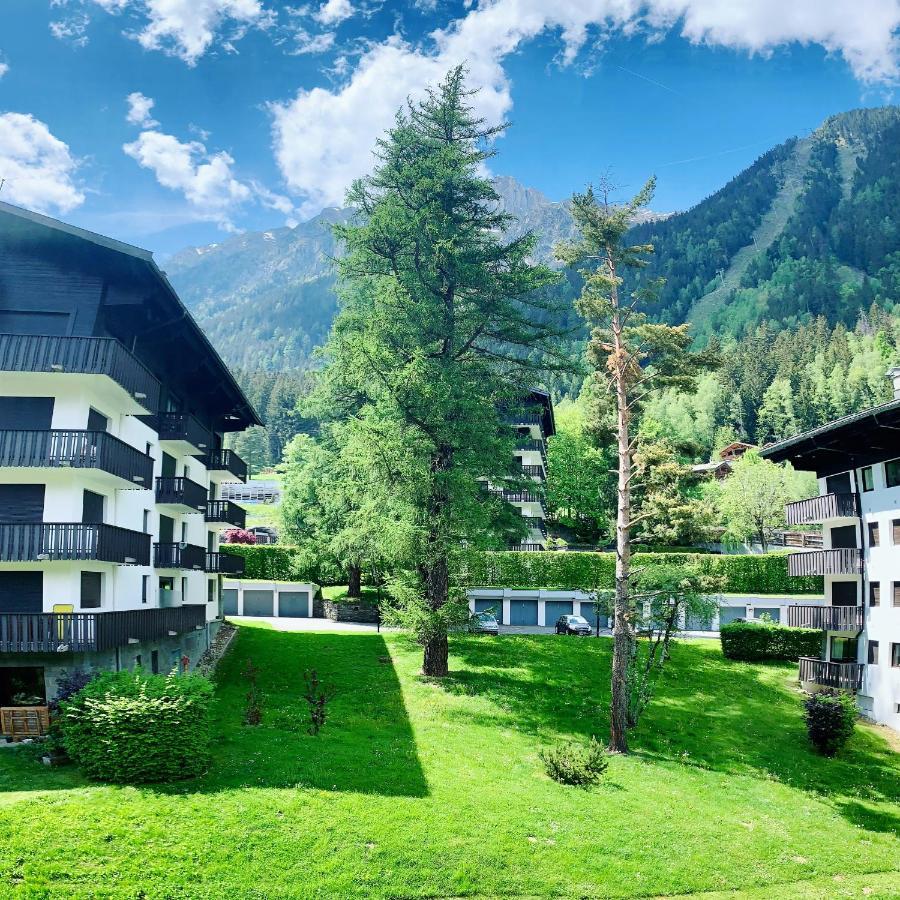 Apartment Confort Au Brevent-chamonix