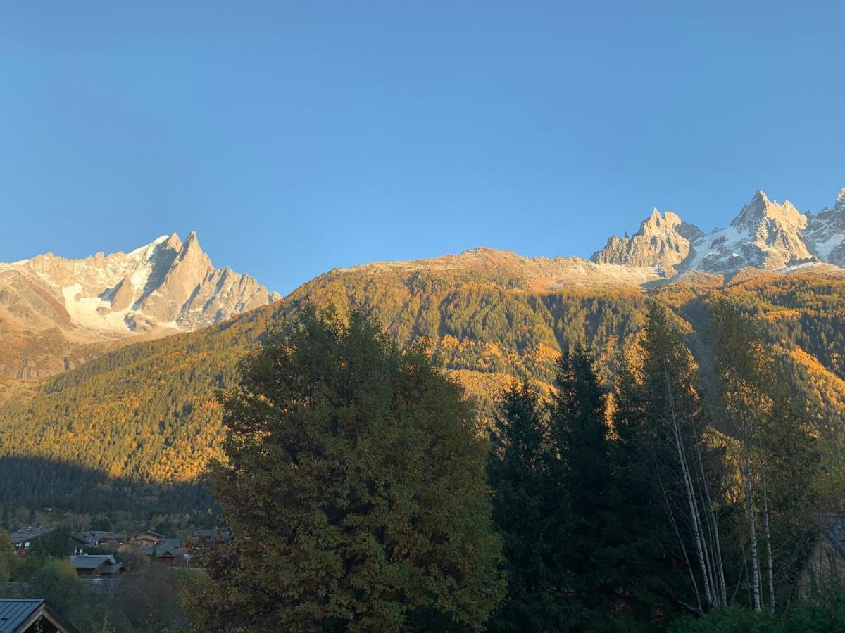 Le Point De Vue Chalet Chamonix