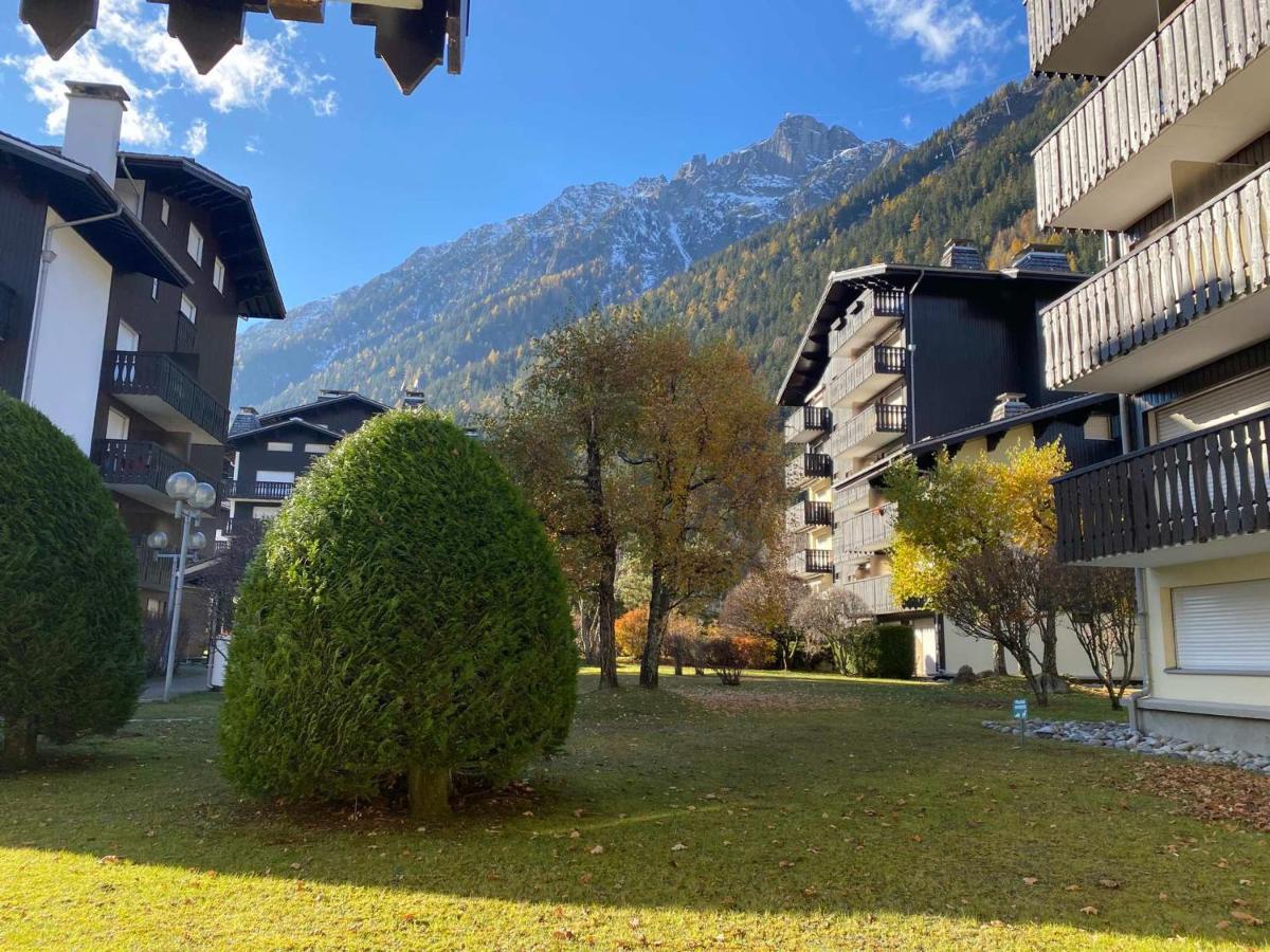 Apartment Cosy, 4 Pers, Pied Des Pistes, Centre Chamonix, Equipe, Wifi Inclus - Fr-1-343-154 *