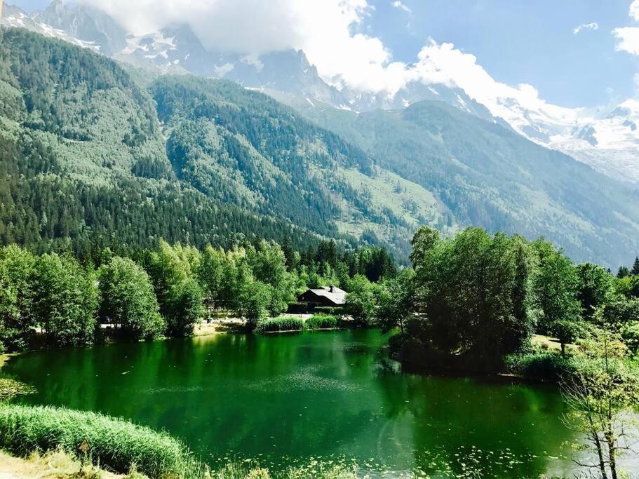 Modern 2br 5* Pool Gym Garage Mont-blanc View *