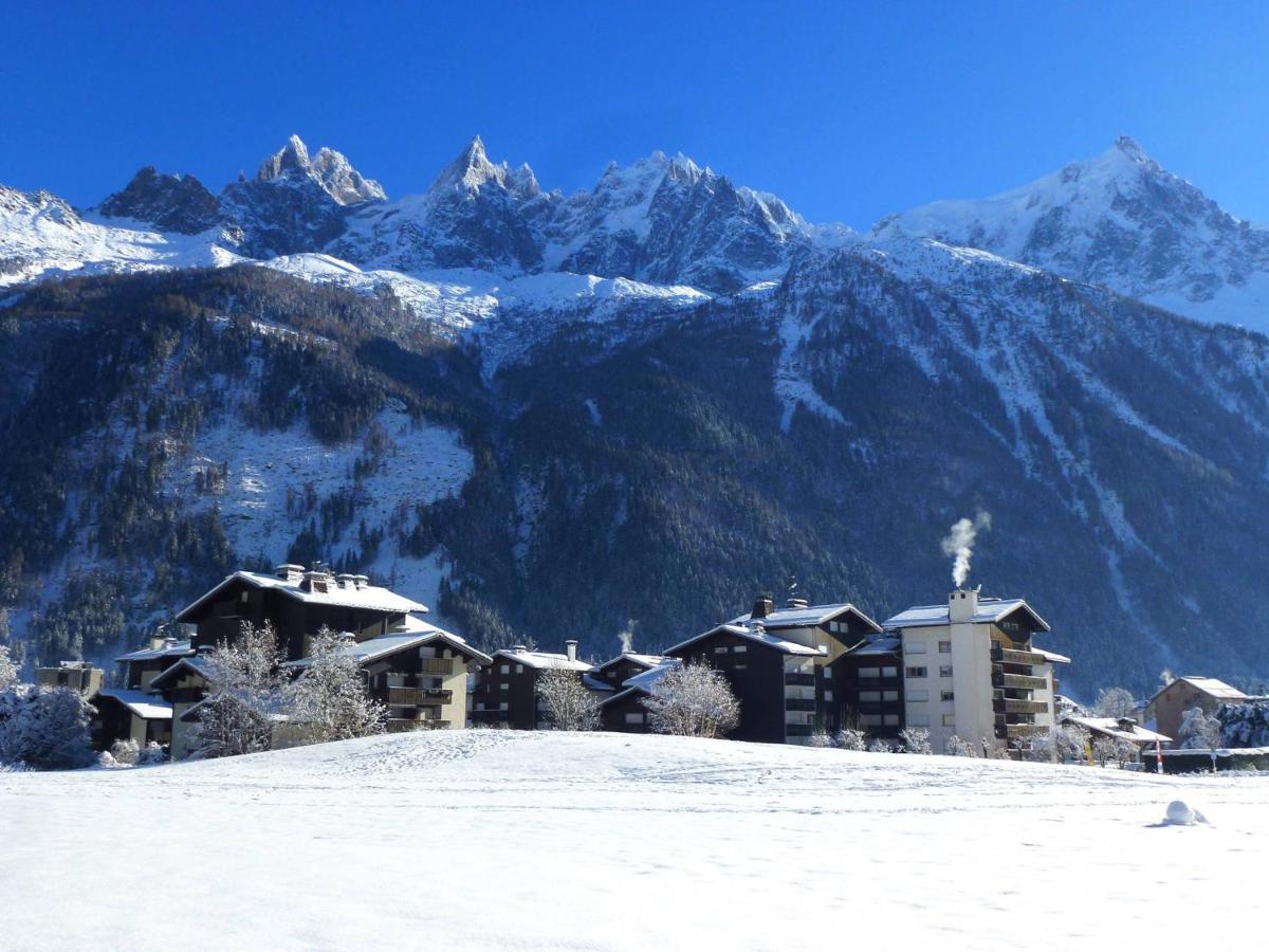 Grand Avec Terrasse Face Au Mont-blanc, Parking Et Wifi - Fr-1-343-173 *