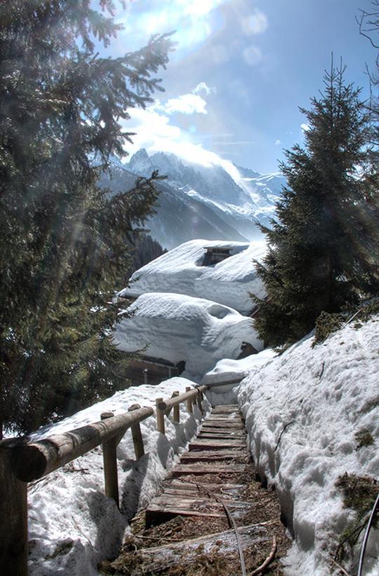La Ribambelle Chalet