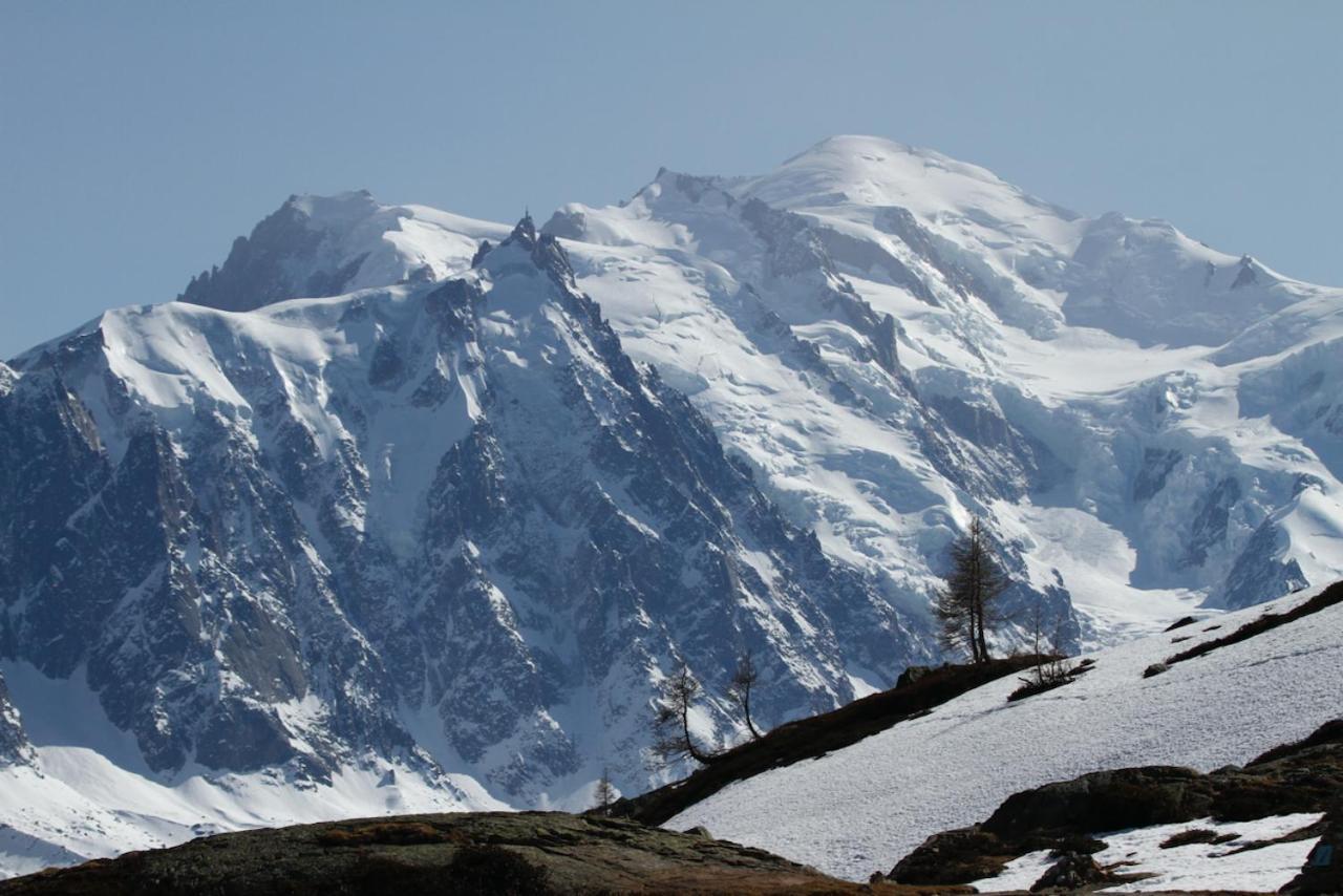Apartment Grands Montets
