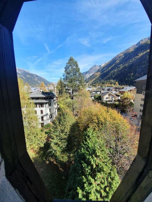 Apartment Superbe 2 Pieces, Centre Vue Mont-blanc Avec Balcon Et Parking Gratuit Chamonix