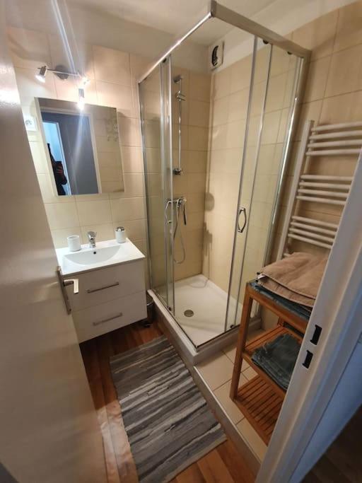 Superbe 2 Pieces, Centre Vue Mont-blanc Avec Balcon Et Parking Gratuit Apartment *