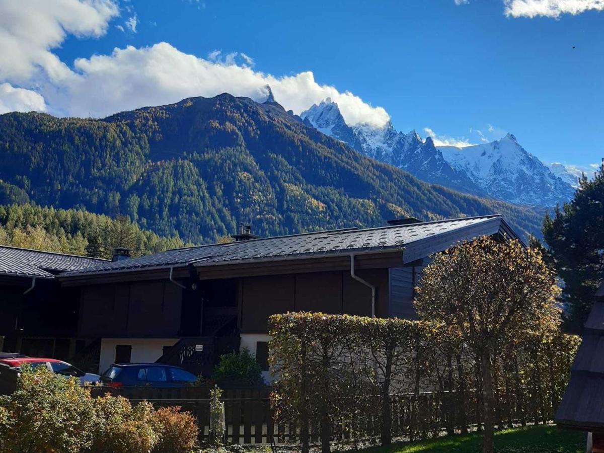 Charme Avec Terrasse, Vue Mont Blanc, Parking, 3/4 Pers - Fr-1-517-65 Chamonix
