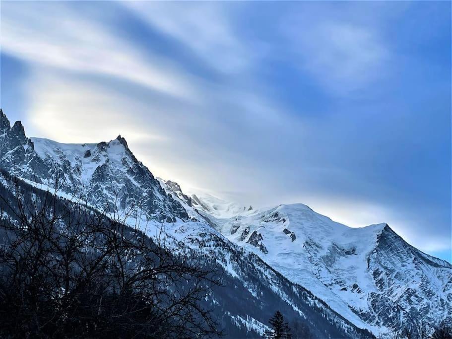 Typique De Montagne *