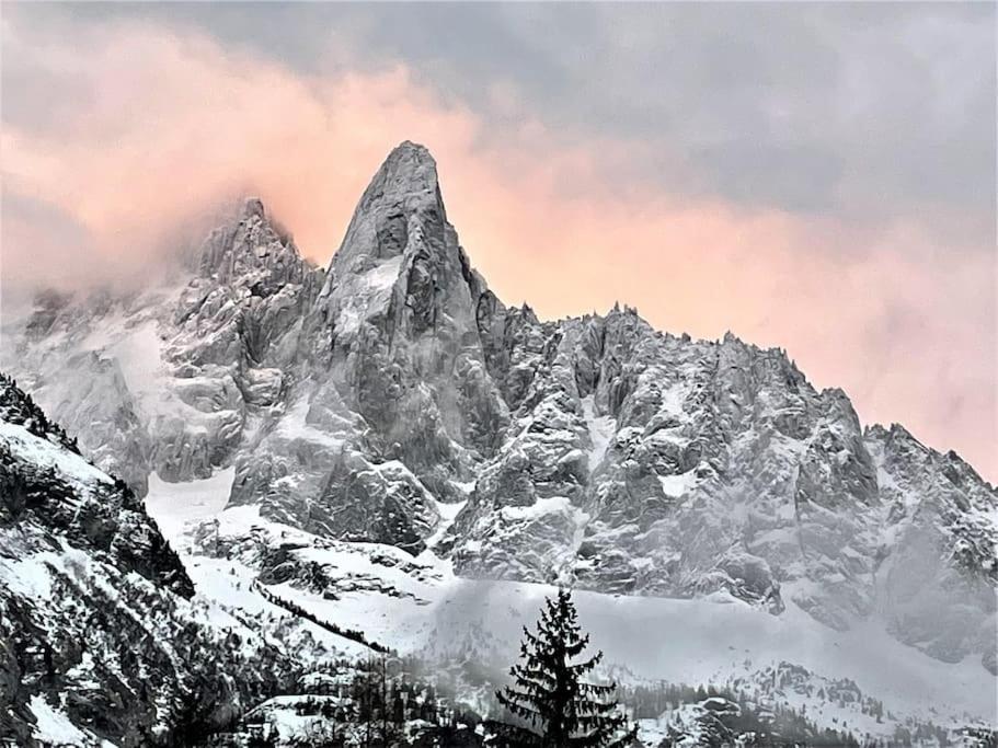 Typique De Montagne Chamonix