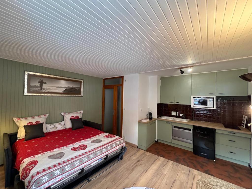 Apartment Dent Du Caiman, Hyper Centre, Parking, Vue Mont Blanc