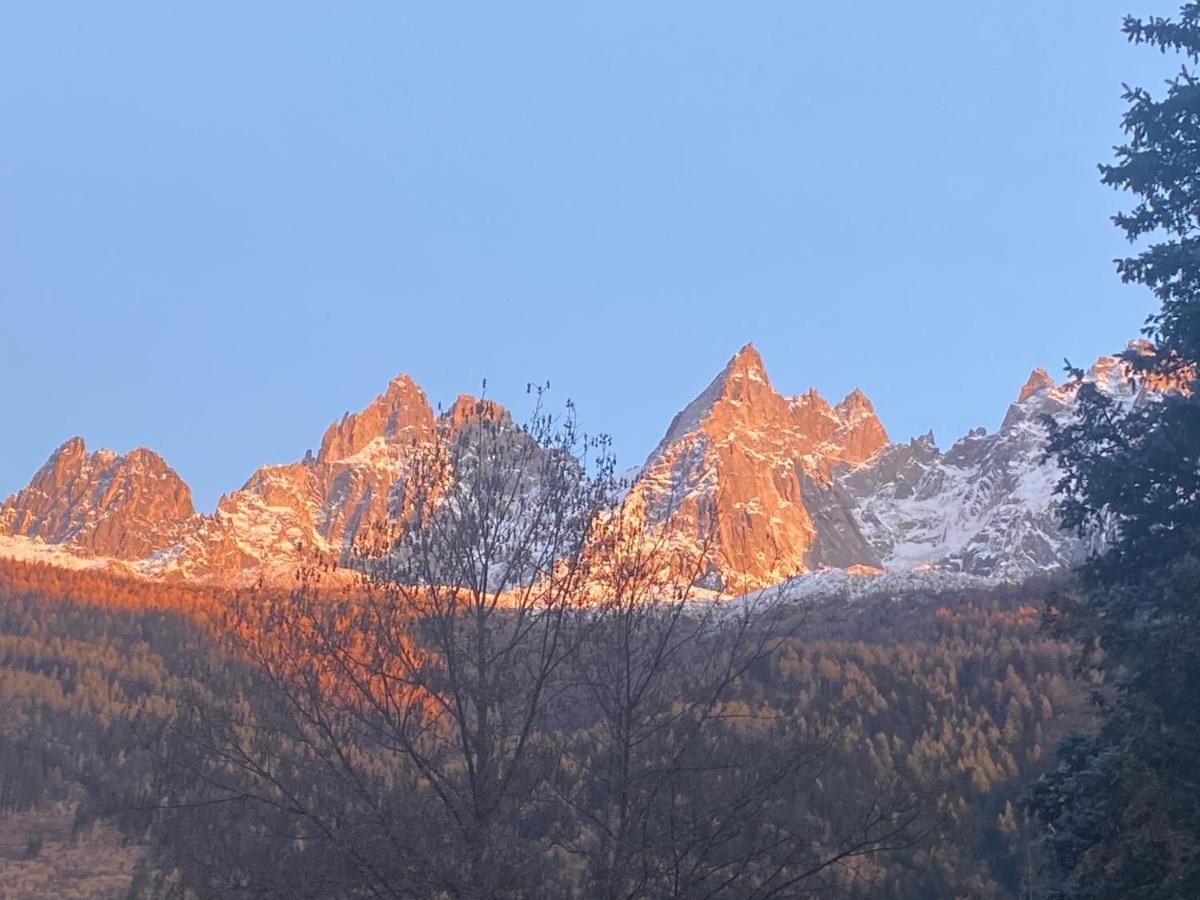 Apartment - Majestic Vue Mont Blanc