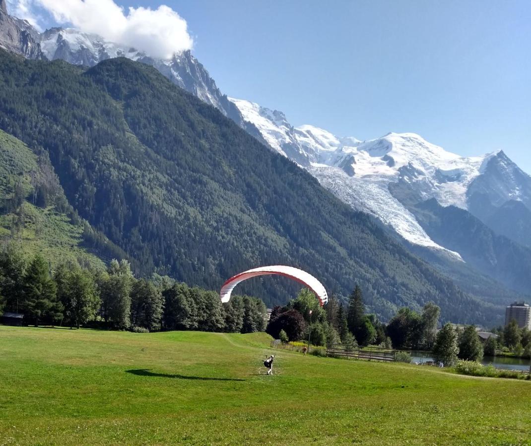 Happy Moose - Cosy Mont Blanc View Apartment Chamonix