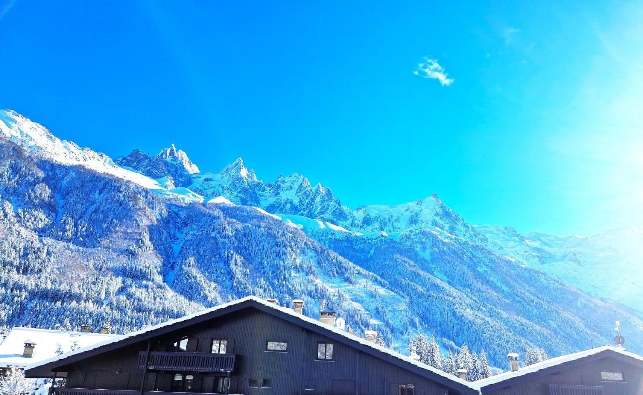 Superbe Vue Mont Blanc Apartment
