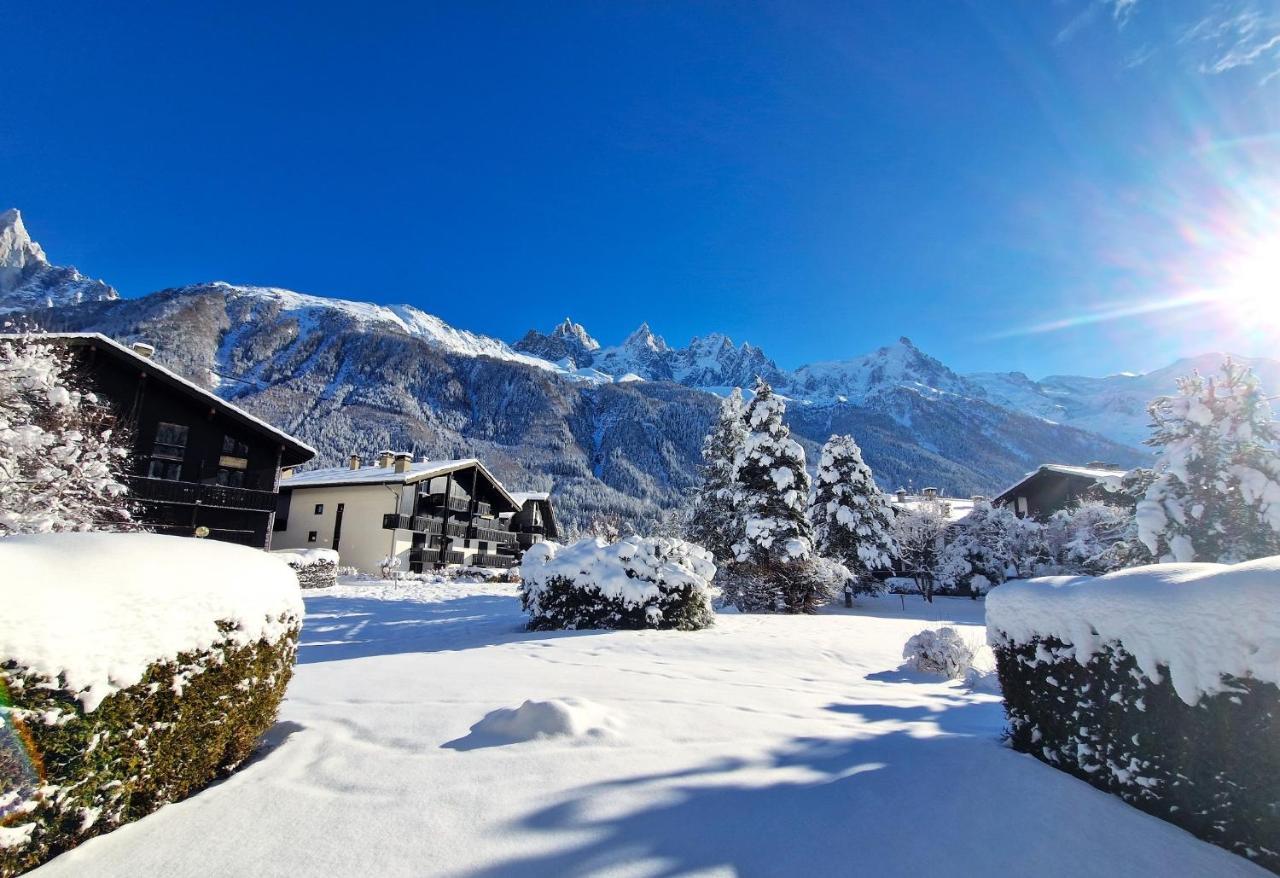 Rez De Jardin - Vue Mont Blanc Appartement *