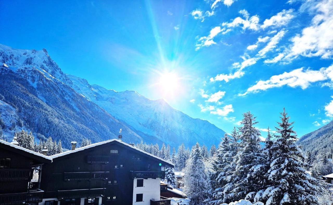Superbe Vue Mont Blanc Apartment *
