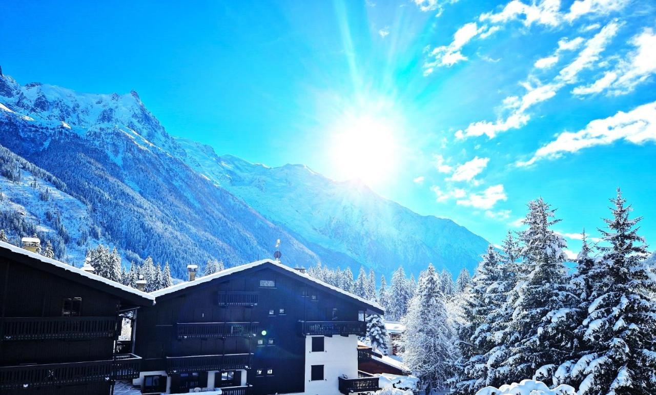 Superbe Vue Mont Blanc Apartment Chamonix