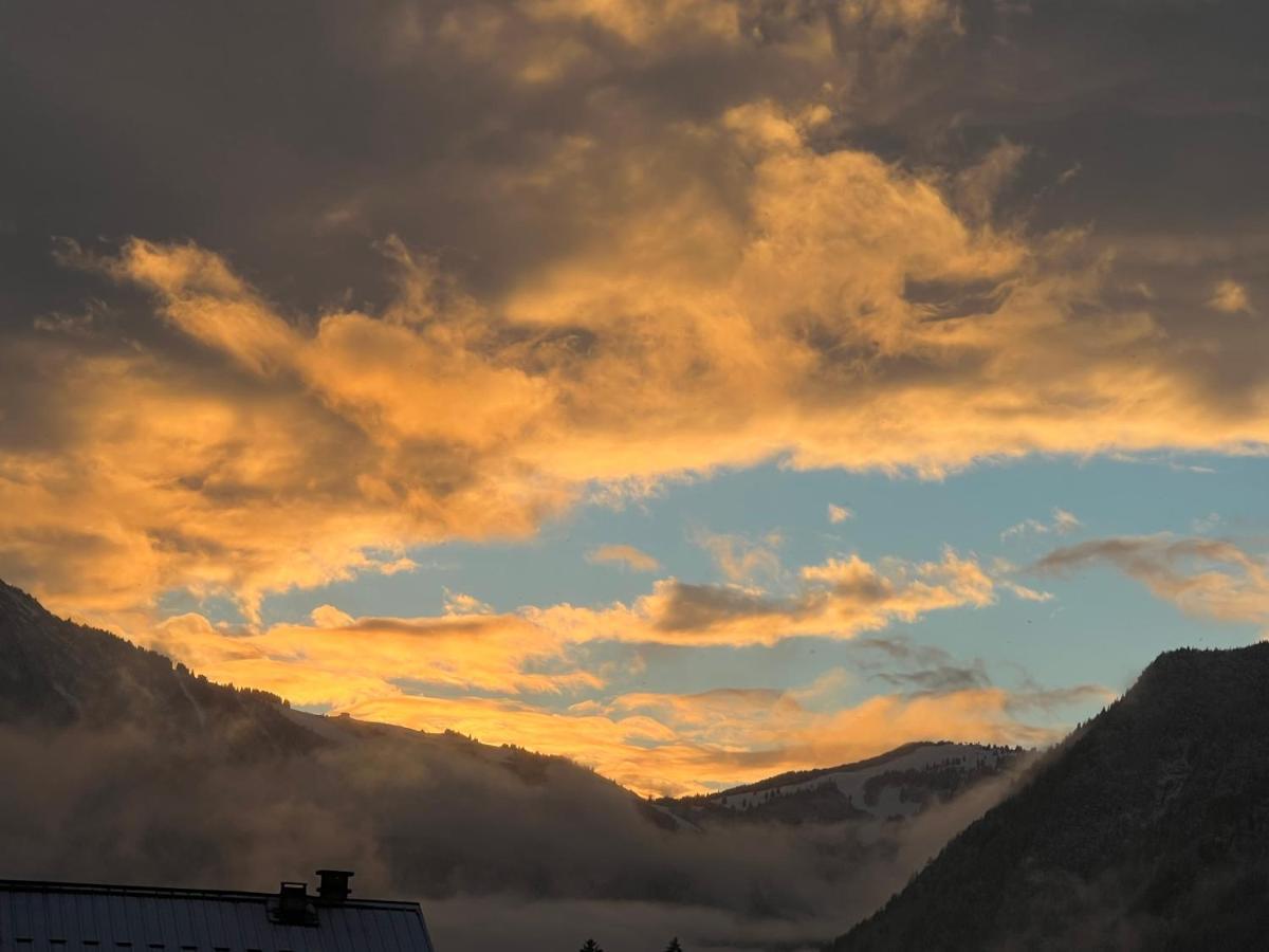 Appartement Mont Blanc 43, Vue Mont Blanc , Balcon, Parking Chamonix