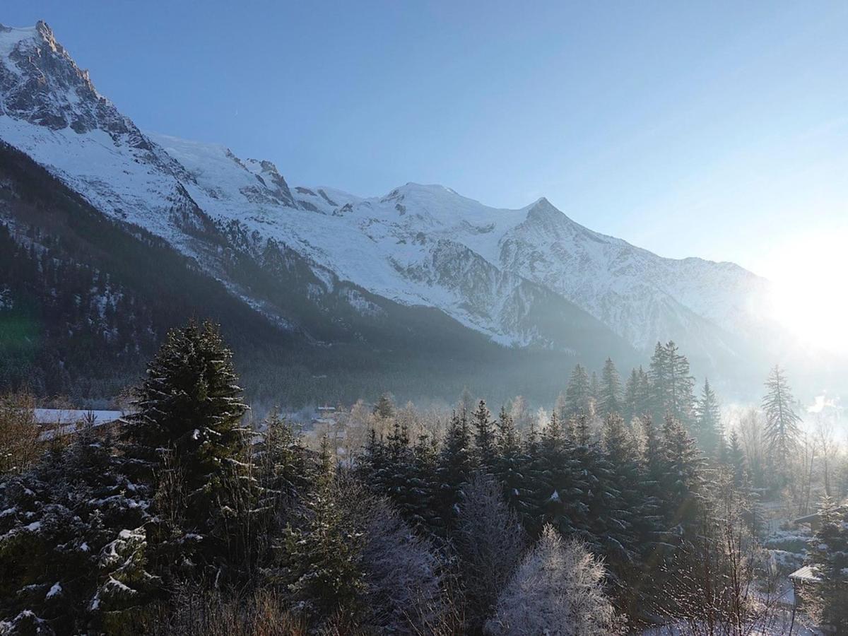 T4 Renove Avec Vue Mont-blanc, 4 Etoiles, Proche Centre, Parking - Fr-1-507-62 Apartment Chamonix
