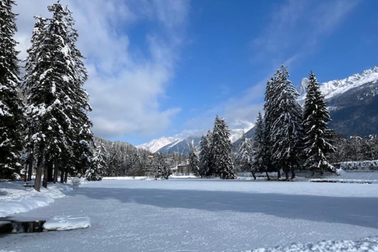 Pretty 27m With Beautiful Views Of The Mont Blanc * Chamonix