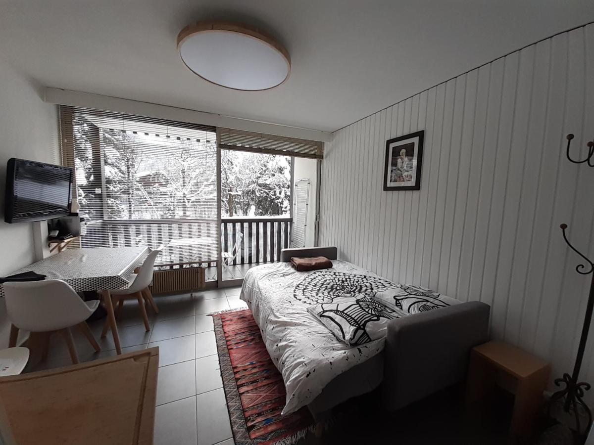 Quartier Calme Centre Vue Mont Blanc Apartment Chamonix