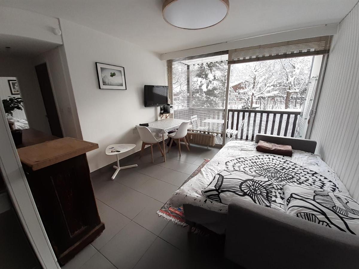 Apartment Quartier Calme Centre Vue Mont Blanc Chamonix