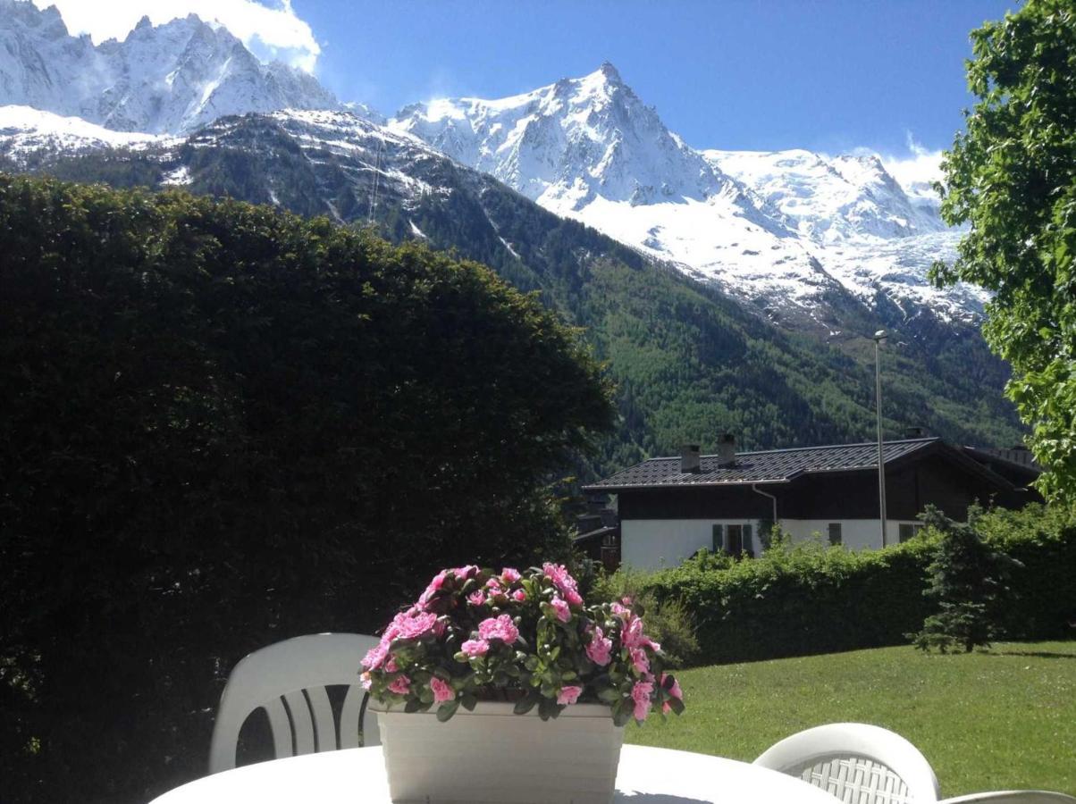 Le Brevent Bat A Chamonix