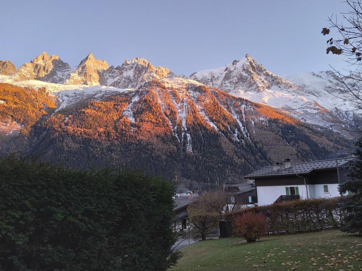 Apartment Le Brevent Bat A