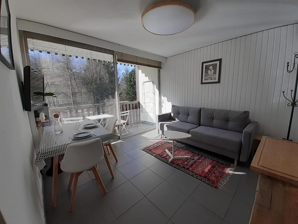 Apartment Quartier Calme Centre Vue Mont Blanc Chamonix