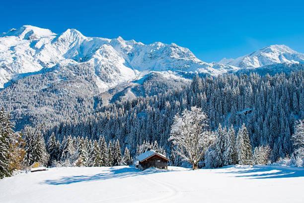 Happy Moose - Cosy Mont Blanc View *