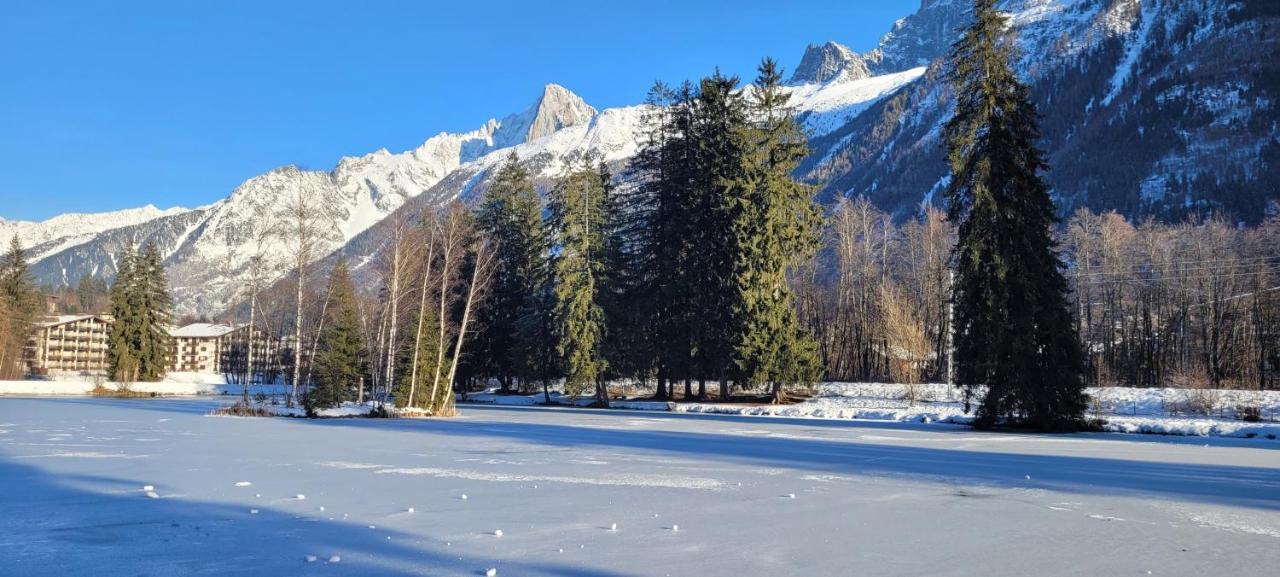Apartment Plein Sud Vue Mont Blanc Chamonix