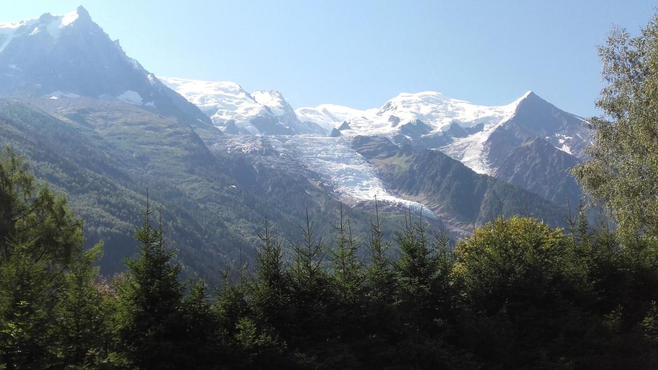 Apartment Plein Sud Vue Mont Blanc Chamonix