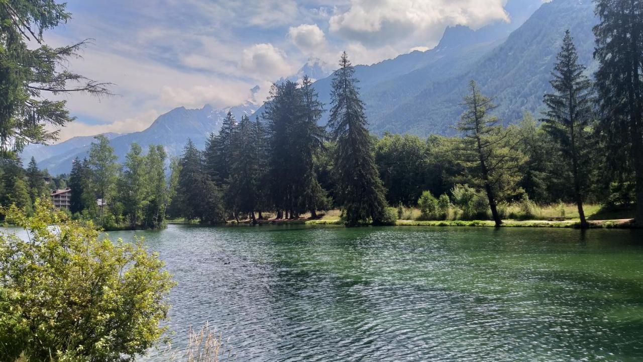 Plein Sud Vue Mont Blanc * Chamonix