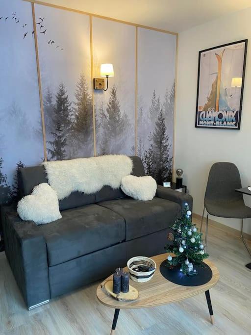 Appartement Le Brevent Studio De Charme Au Pied Des Pistes Chamonix