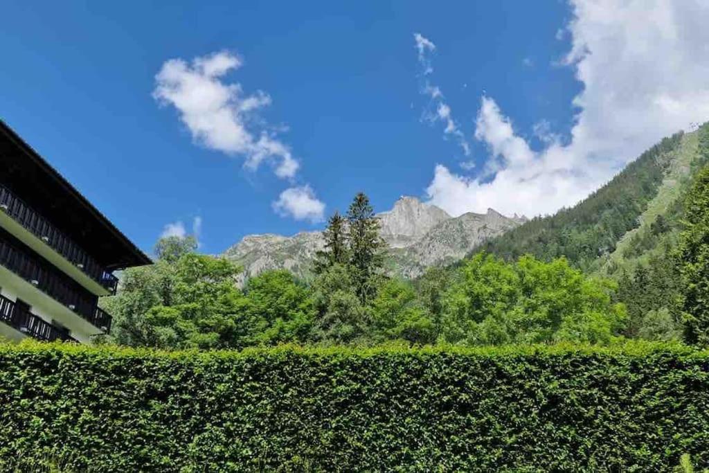 Le Brevent Studio De Charme Au Pied Des Pistes *