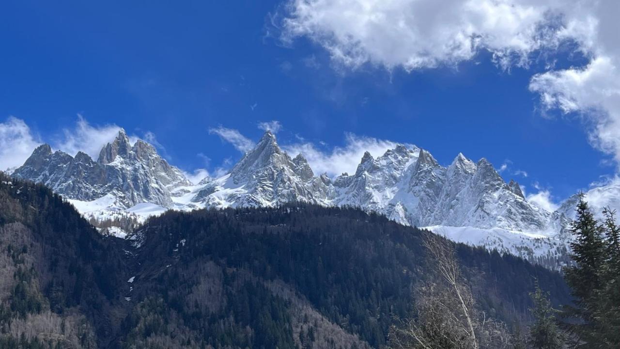 Apartment Type Dans Centre Chamonix