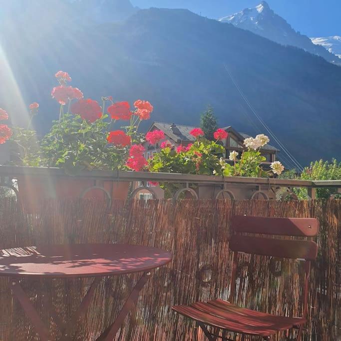 Limbo Hyper Centre Vue Imprenable Sur Le Mont-blanc * Chamonix