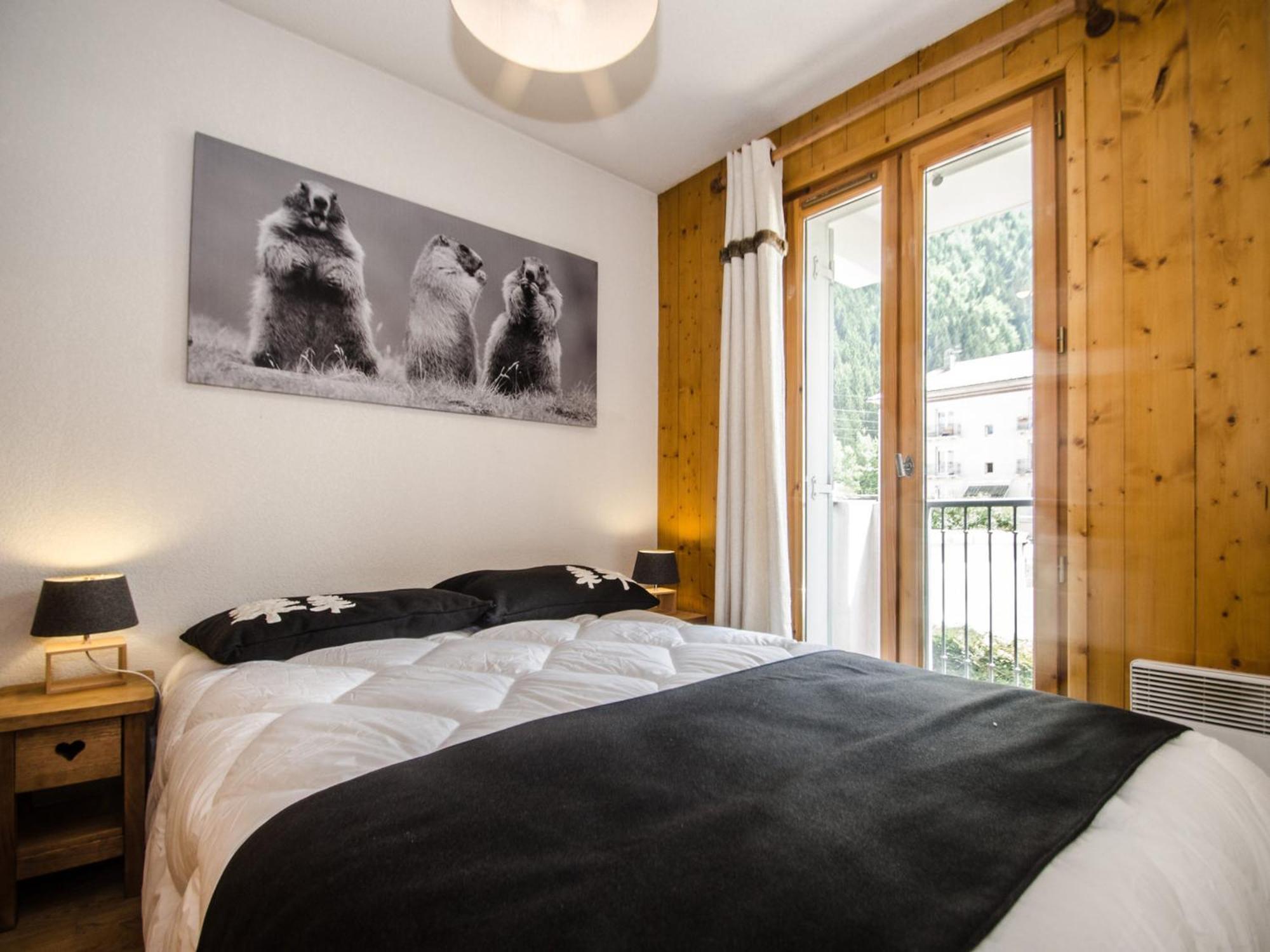 Calme A Chamonix, Proche Centre-ville Avec Balcons, Parking Et Wi-fi - Fr-1-343-212 * Chamonix