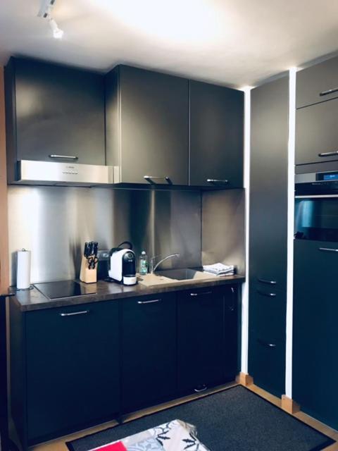 Apartment Aiguille Rouge Chamonix