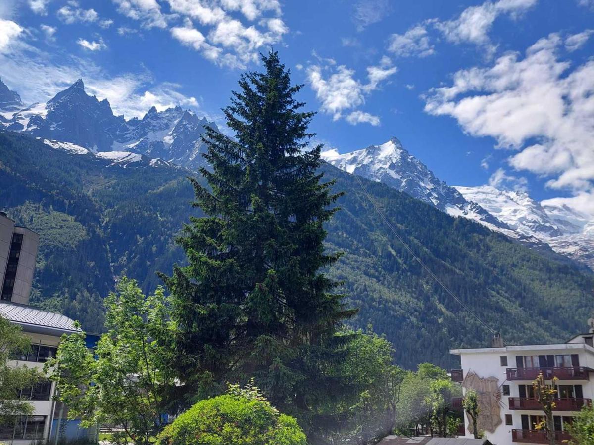 Cosy Avec Parking Et Animaux Admis, Proche Centre - Fr-1-517-21 Chamonix