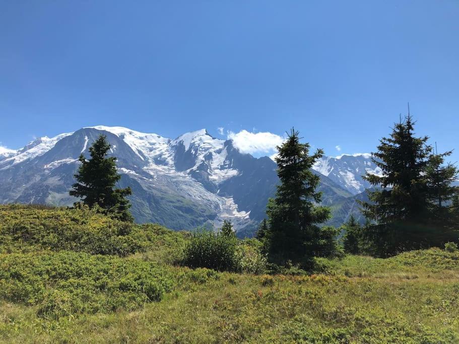 Centre 1 Piece+ Coin Montagne Apartment Chamonix