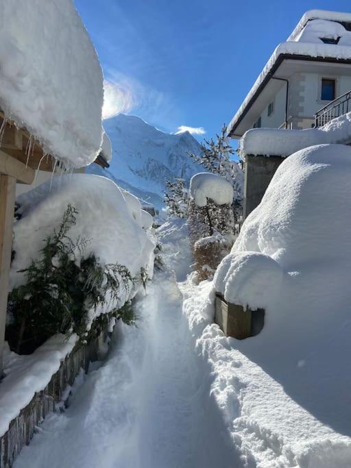 Centre 1 Piece+ Coin Montagne Apartment Chamonix