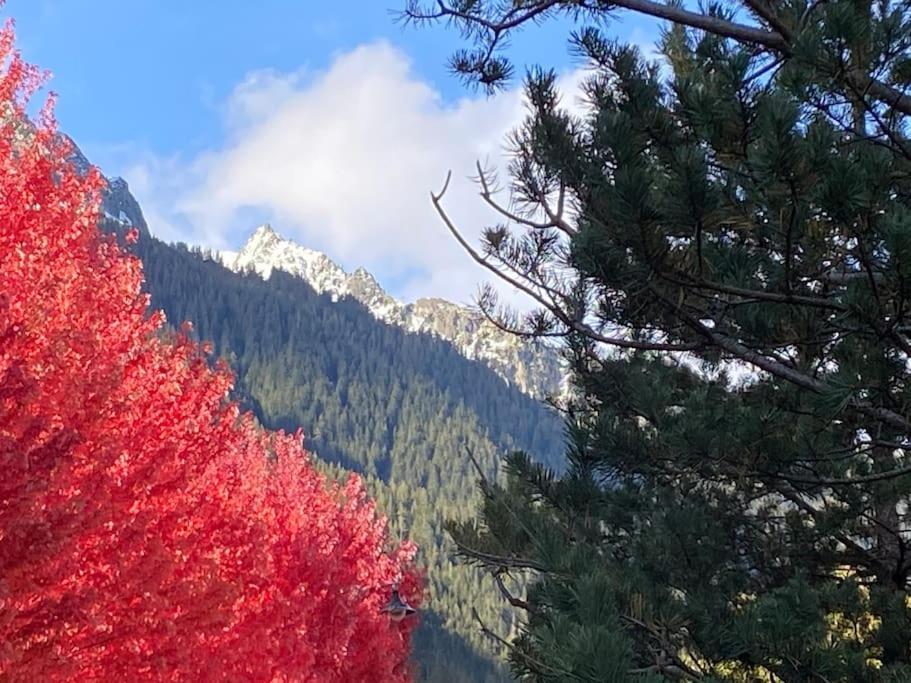 Centre 1 Piece+ Coin Montagne * Chamonix