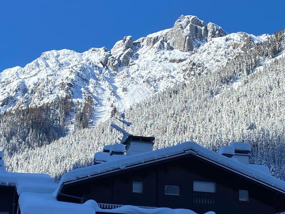 Apartment Centre 1 Piece+ Coin Montagne Chamonix