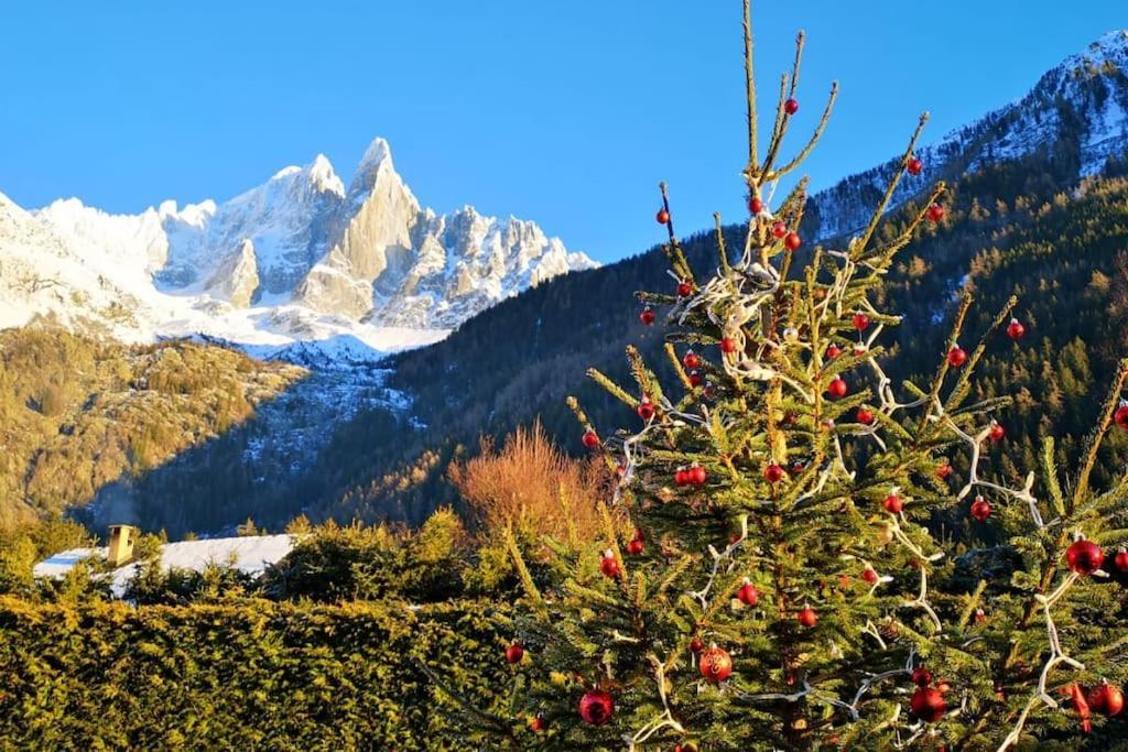 Chalet Mazot Le Petit Drus Chamonix
