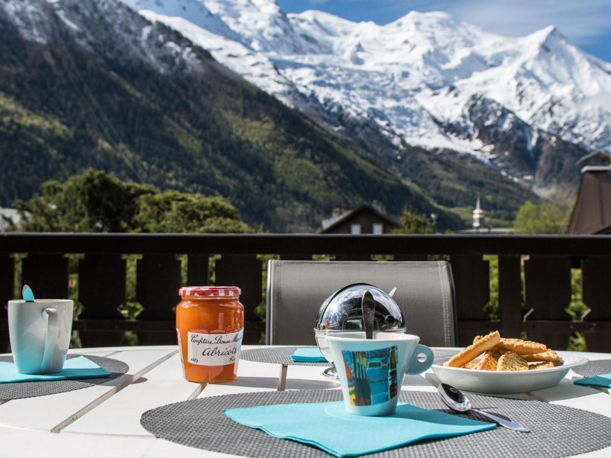 Grand Avec Terrasse Face Au Mont-blanc, Parking Et Wifi - Fr-1-343-173 * Chamonix